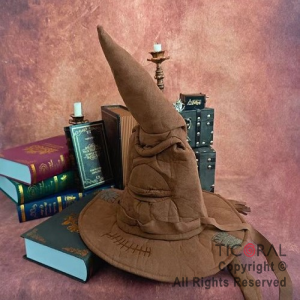 SOMBRERO DE MAGO SELECCIONADOR HARRY POTTER X 1